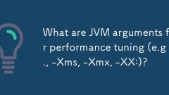 What are JVM arguments for performance tuning (e.g., -Xms, -Xmx, -XX:)?