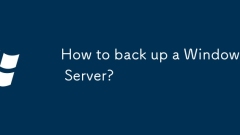 How to back up a Windows Server?