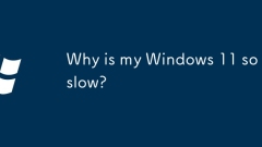 Why is my Windows 11 so slow?