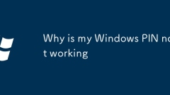 Why is my Windows PIN not working