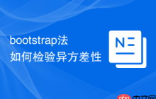 bootstrap法如何检验异方差性