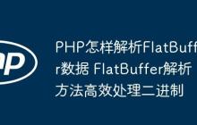 PHP怎樣解析FlatBuffer數(shù)據(jù) FlatBuffer解析方法高效處理二進(jìn)制