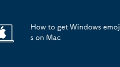 Mac?? Windows ????? ?? ??