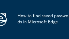 如何在Microsoft Edge中找到保存的密碼