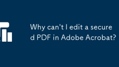 Warum kann ich keine gesicherte PDF in Adobe Acrobat bearbeiten?
