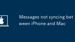 iPhone? Mac?? ????? ?? ???