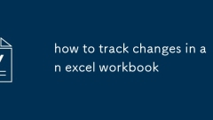 So verfolgen Sie Ver?nderungen in einem Excel -Arbeitsbuch