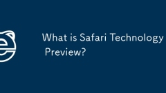 Was ist die Vorschau der Safari -Technologie?