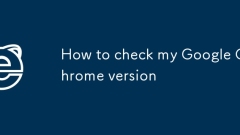 ? Chrome ??? ???? ??