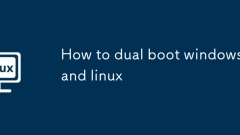 So Dual -Start -Windows und Linux