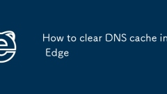 ?????? DNS ??? ??? ??