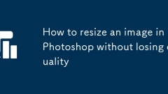 So ?ndern Sie ein Bild in Photoshop, ohne Qualit?t zu verlieren