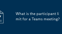 What is the participant limit for a Teams meeting?
