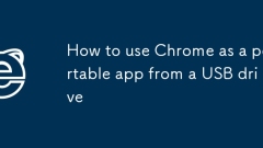How to use Chrome as a portable app from a USB drive
