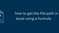 how to get the file path in excel using a formula