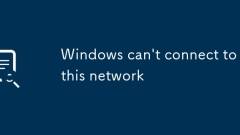 Windows kann keine Verbindung zu diesem Netzwerk herstellen