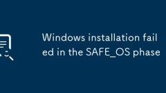 Die Windows -Installation ist in der Safe_OS -Phase fehlgeschlagen