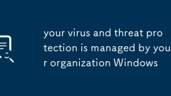 Ihr Virus und Ihr Bedrohungsschutz werden von Ihrem Unternehmen Windows verwaltet