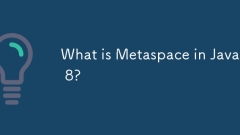 Was ist MetaPace in Java 8?