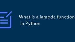 PythonのLambda機能とは何ですか