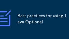 Best Practices für die Verwendung von Java optional