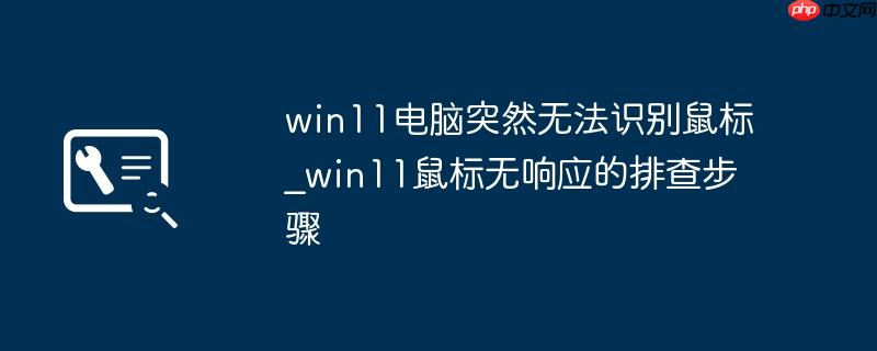 win11电脑突然无法识别鼠标_win11鼠标无响应的排查步骤