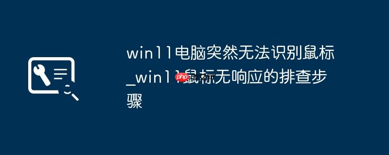 win11电脑突然无法识别鼠标_win11鼠标无响应的排查步骤