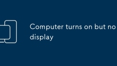 Computer turns on but no display