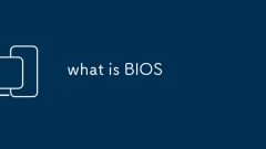 BIOS? ??????