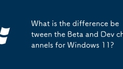 Quelle est la différence entre les canaux bêta et Dev pour Windows 11?
