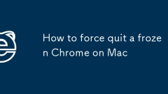 Comment forcer quitter un chrome gelé sur mac