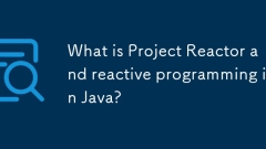 Was ist Projektreaktor und reaktives Programmieren in Java?