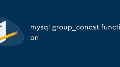 MySQL Group_Concat -Funktion