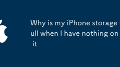 Mengapa penyimpanan iPhone saya penuh apabila saya tidak mempunyai apa -apa