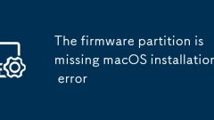The firmware partition is missing macOS installation error