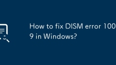 Bagaimana untuk memperbaiki ralat dism 1009 di Windows?