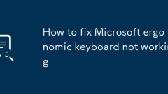 How to fix Microsoft ergonomic keyboard not working