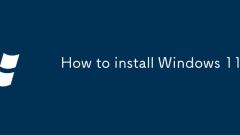 Windows 11? ???? ??