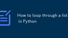 Wie man eine Liste in Python durchschlägt