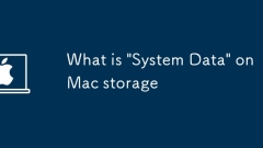 Qu'est-ce que les 'données système' sur le stockage Mac