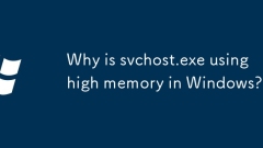 Pourquoi svchost.exe utilise-t-il une mémoire haute dans Windows?