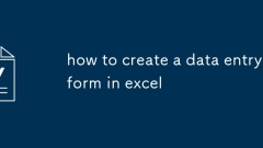 cara membuat borang kemasukan data di Excel