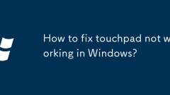 Wie kann ich Touchpad reparieren, das in Windows nicht funktioniert?