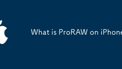Apa itu Proraw di iPhone