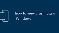 how to view crash logs in Windows