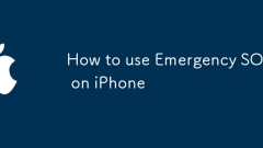 Cara Menggunakan SOS Kecemasan di iPhone