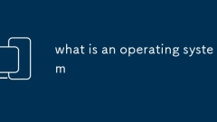 ?? ?? ? ??????