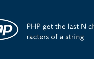PHP get the last N characters of a string