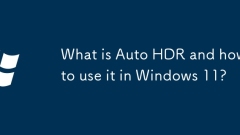 Apakah Auto HDR dan Cara Menggunakannya di Windows 11?