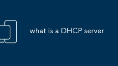 what is a DHCP server